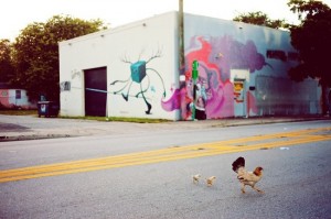 chicken crosses street